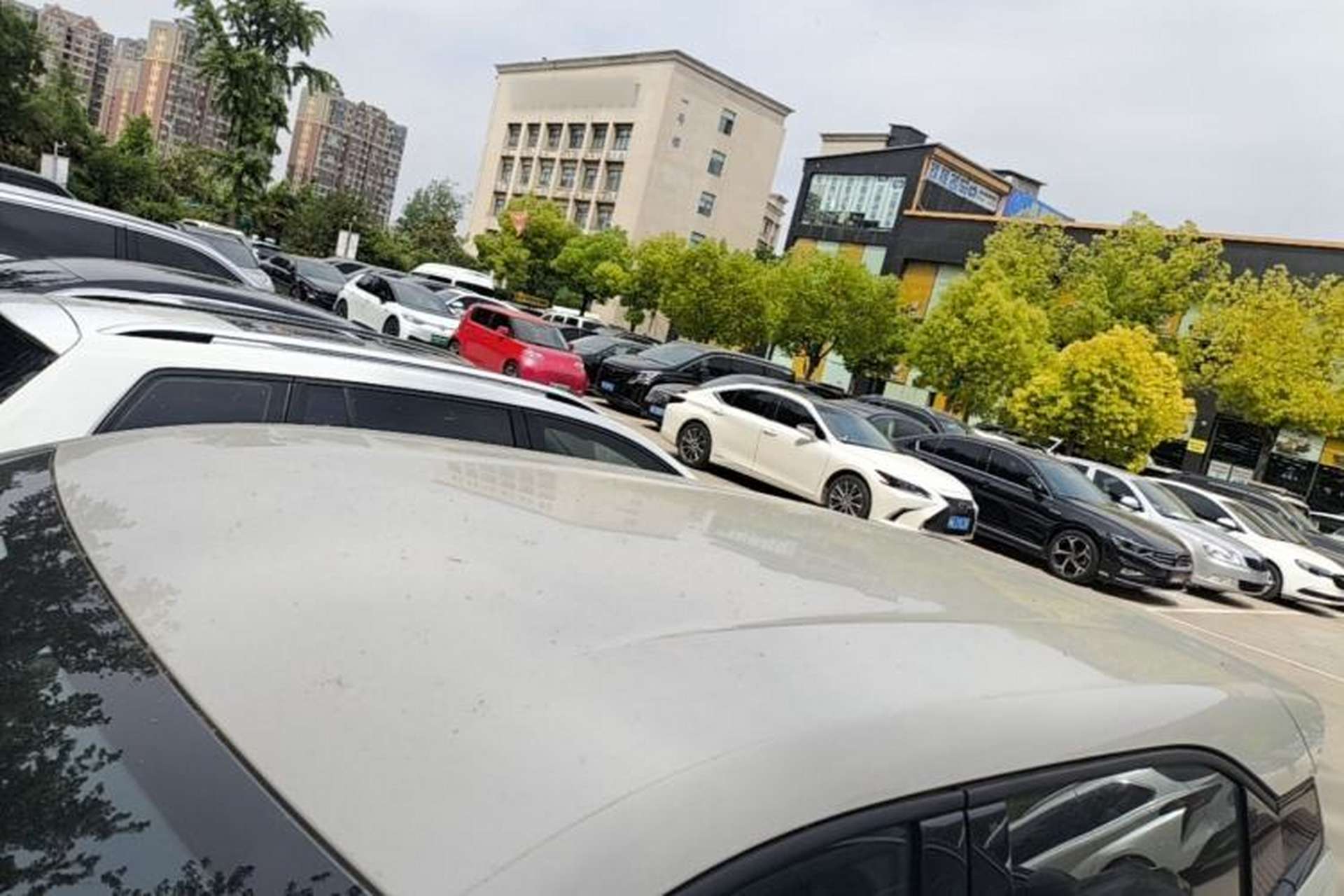 Used BYD Seagull 2025 Intelligent Driving Version 305 km Dynamic Edition Roof