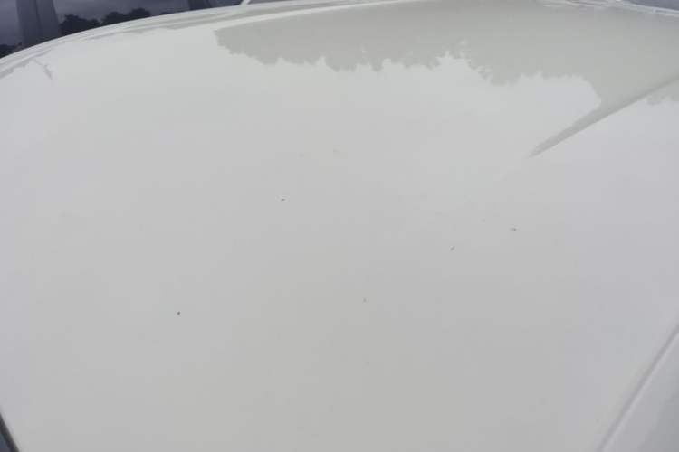 Used BYD Seagull 2025 Model Smart Drive Version 405km Free-Spirited Version Roof