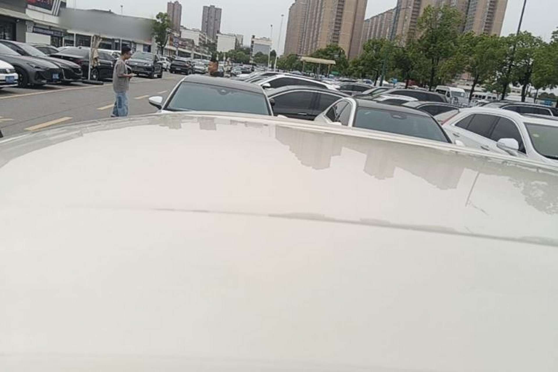 Used BYD Seagull 2025 305km Active Version Roof