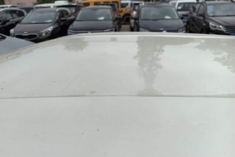 Used BYD Seagull 2025 Intelligent Driving Version 305 km Dynamic Edition Roof