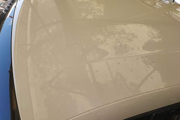 Used BYD Seagull 2025 Intelligent Driving Version 305 km Dynamic Edition Roof