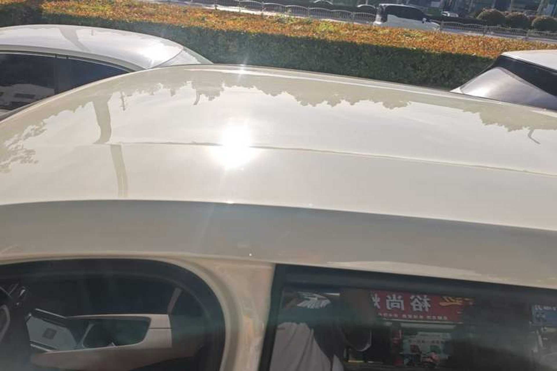 Used BYD Seagull 2025 Smart Drive Version 305 km Freedom Edition Roof