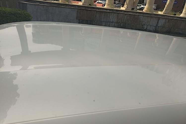 Used BYD Seagull 2025 305km Active Version Roof