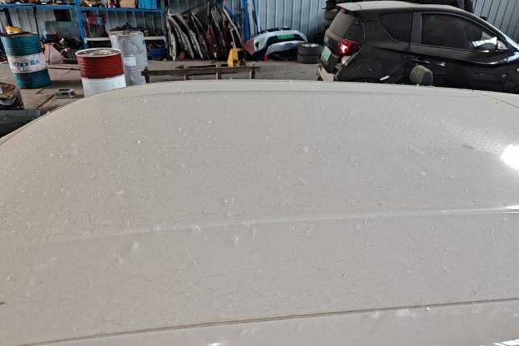 Used BYD Seagull 2025 Intelligent Driving Version 305 km Dynamic Edition Roof