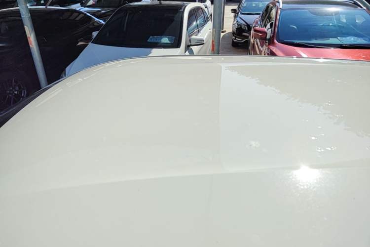 Used BYD Seagull 2025 Smart Drive Version 305 km Freedom Edition Roof