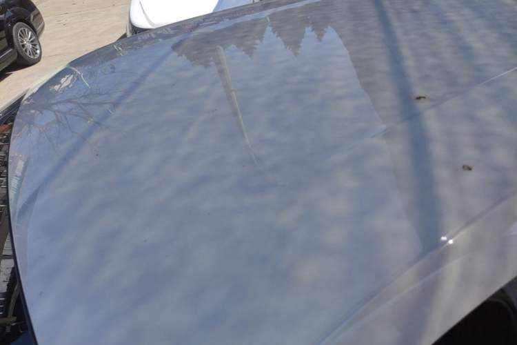 Used BYD Seagull 2025 Intelligent Driving Version 305 km Dynamic Edition Roof