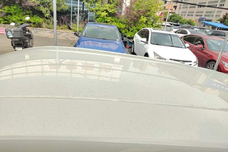 Used BYD Seagull 2025 Smart Drive Version 305 km Freedom Edition Roof