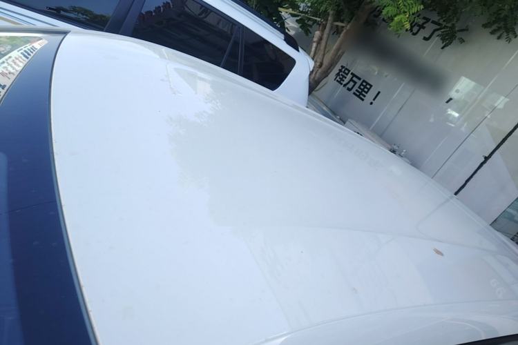 Used BYD Seagull 2025 Smart Drive Version 305 km Freedom Edition Roof
