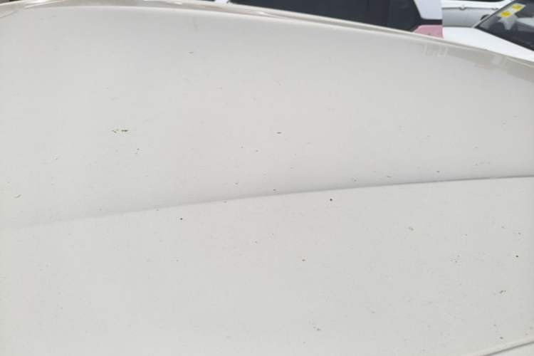 Used BYD Seagull 2025 305km Active Version Roof