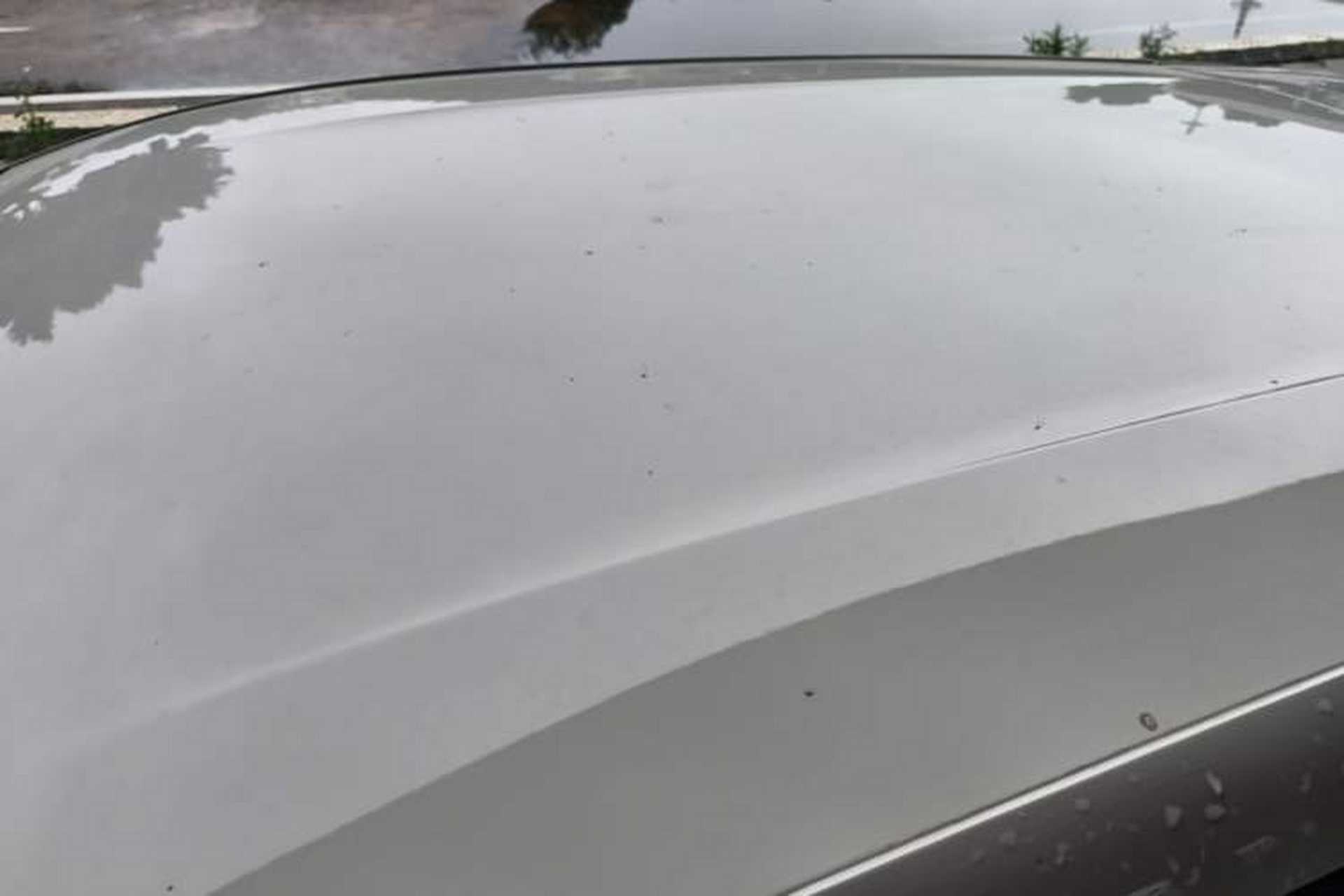 Used BYD Seagull 2025 Smart Drive Version 305 km Freedom Edition Roof