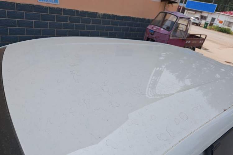 Used BYD Seagull 2025 Intelligent Driving Version 305 km Dynamic Edition Roof