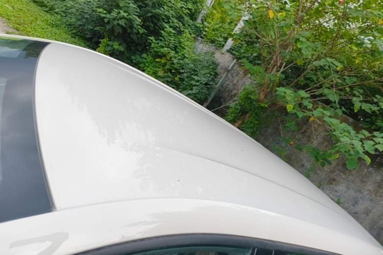 Used BYD Seagull 2025 Intelligent Driving Version 305 km Dynamic Edition Roof
