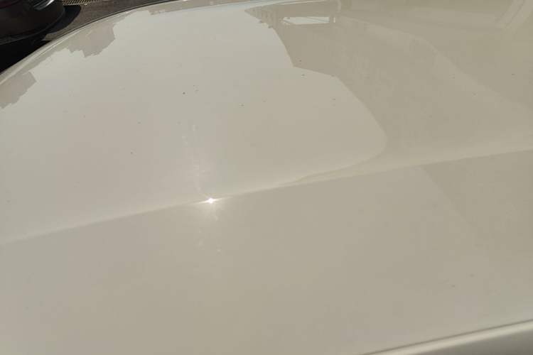 Used BYD Seagull 2025 305 km Free Version Roof