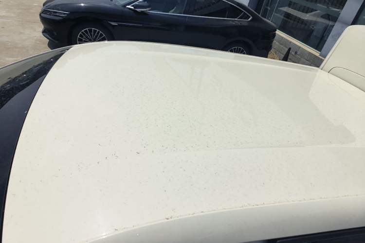 Used BYD Seagull 2025 Smart Drive Version 305 km Freedom Edition Roof