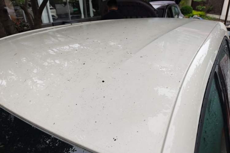 Used BYD Seagull 2025 305km Active Version Roof