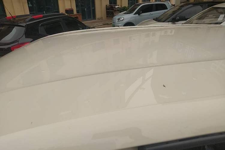 Used BYD Seagull 2025 305 km Free Version Roof