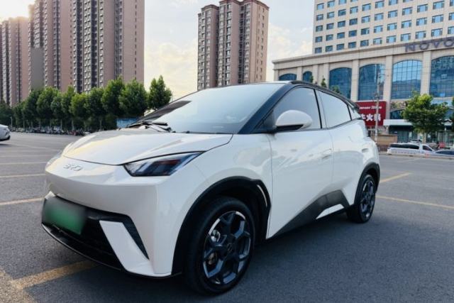 Used BYD Seagull 2025 305 km Free Version
