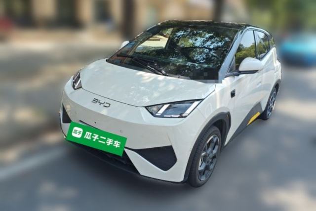 Used BYD Seagull 2025 Smart Drive Version 305 km Freedom Edition