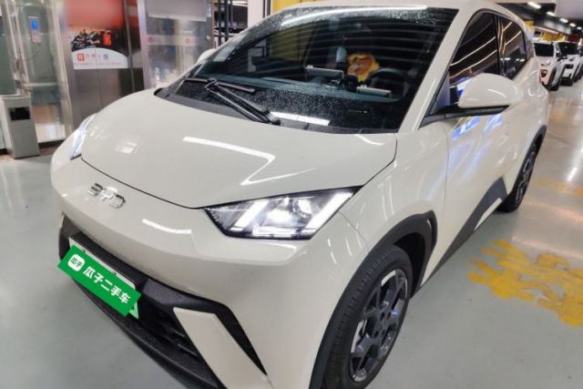 Used BYD Seagull 2025 305 km Free Version