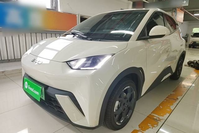 Used BYD Seagull 2025 305 km Free Version