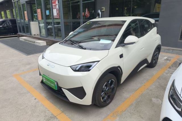Used BYD Seagull 2025 Smart Drive Version 305 km Freedom Edition