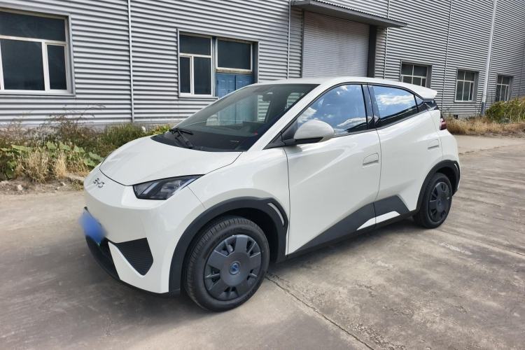 BYD Seagull 2025 Intelligent Driving Version 305 km Dynamic Edition