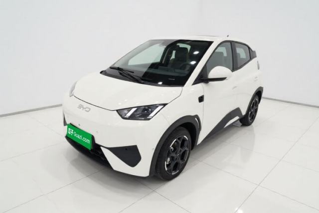 Used BYD Seagull 2025 Smart Drive Version 305 km Freedom Edition