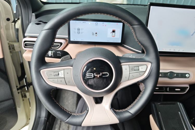 Used BYD Seagull 2025 Smart Drive Version 305 km Freedom Edition Steering Wheel
