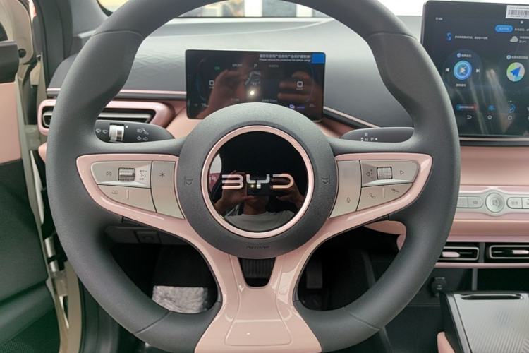 Used BYD Seagull 2025 Intelligent Driving Version 305 km Dynamic Edition Steering Wheel
