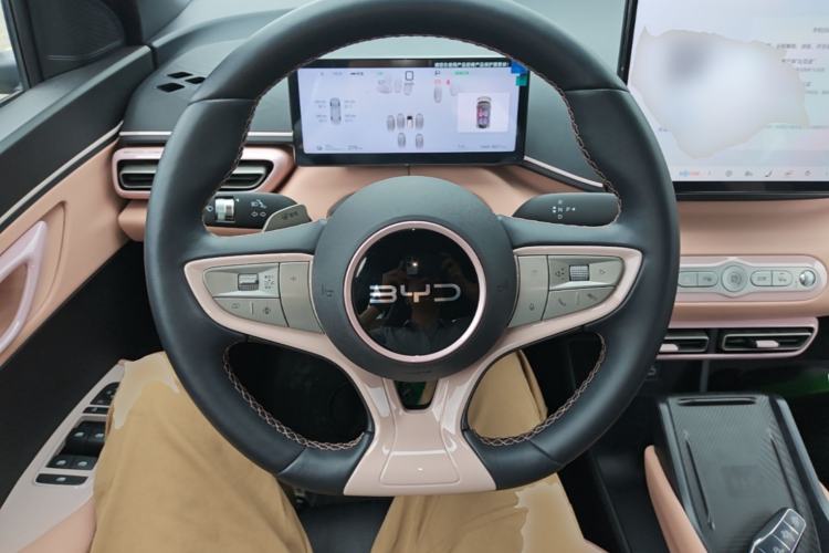 Used BYD Seagull 2025 Smart Drive Version 305 km Freedom Edition Steering Wheel