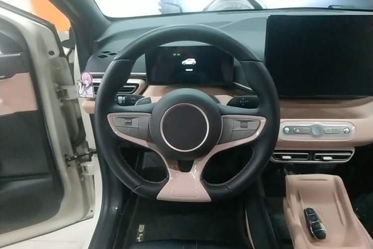 Used BYD Seagull 2025 Smart Drive Version 305 km Freedom Edition Steering Wheel