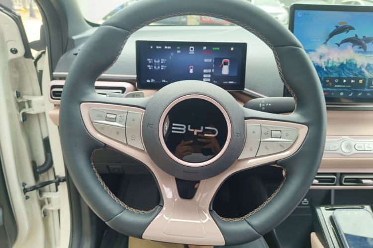 Used BYD Seagull 2025 Smart Drive Version 305 km Freedom Edition Steering Wheel