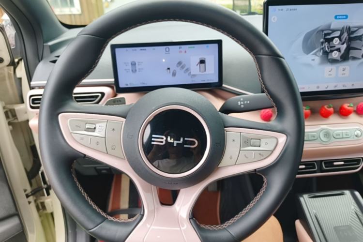 Used BYD Seagull 2025 Smart Drive Version 305 km Freedom Edition Steering Wheel