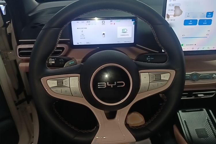 Used BYD Seagull 2025 Smart Drive Version 305 km Freedom Edition Steering Wheel