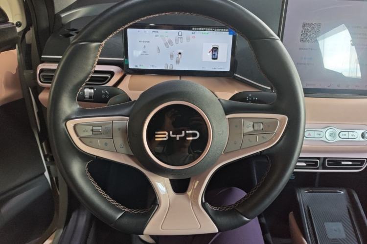 Used BYD Seagull 2025 Smart Drive Version 305 km Freedom Edition Steering Wheel