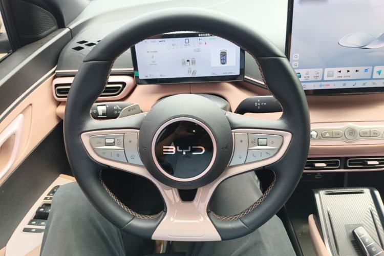 Used BYD Seagull 2025 Smart Drive Version 305 km Freedom Edition Steering Wheel