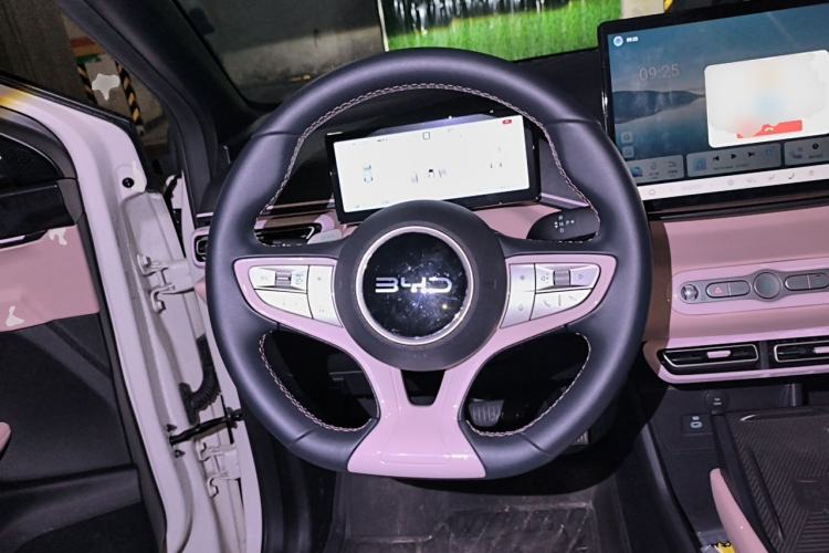 Used BYD Seagull 2025 Smart Drive Version 305 km Freedom Edition Steering Wheel