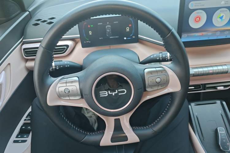 Used BYD Seagull 2025 305 km Free Version Steering Wheel