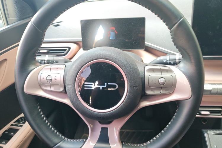 Used BYD Seagull 2025 405 km Flying Edition Steering Wheel