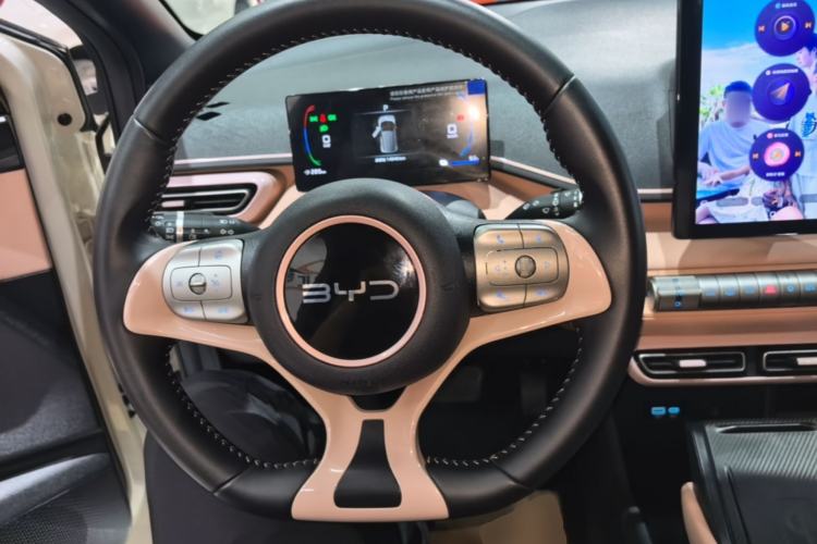 Used BYD Seagull 2025 305 km Free Version Steering Wheel