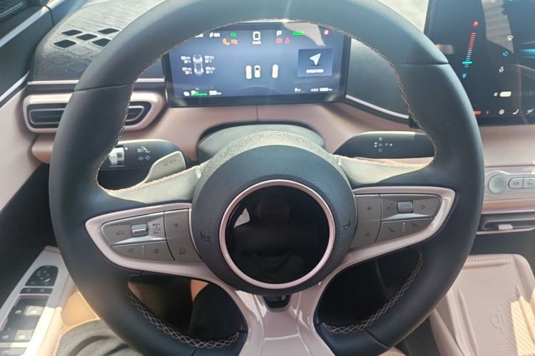 Used BYD Seagull 2025 Smart Drive Version 305 km Freedom Edition Steering Wheel