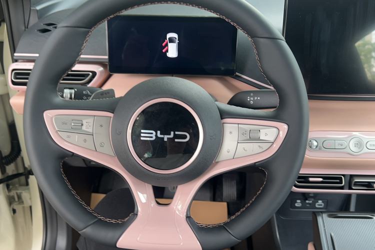 Used BYD Seagull 2025 Smart Drive Version 305 km Freedom Edition Steering Wheel