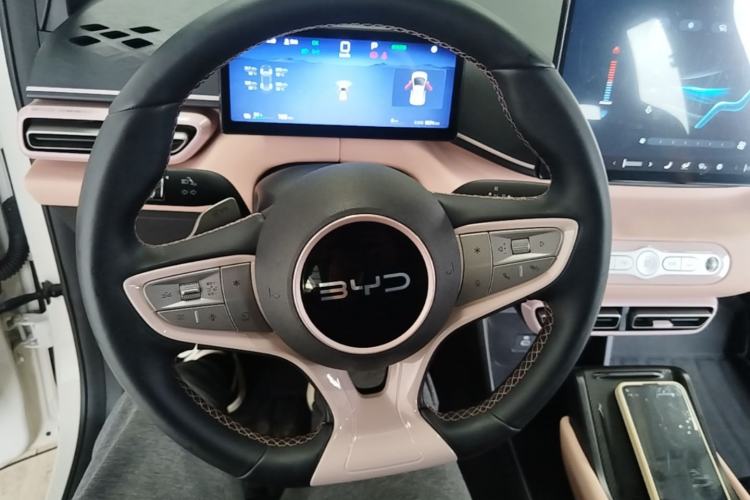Used BYD Seagull 2025 Smart Drive Version 305 km Freedom Edition Steering Wheel