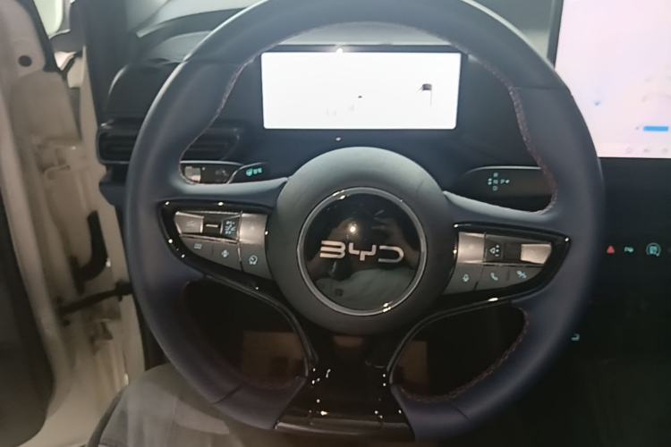 Used BYD Seagull 2025 Smart Drive Version 305 km Freedom Edition Steering Wheel