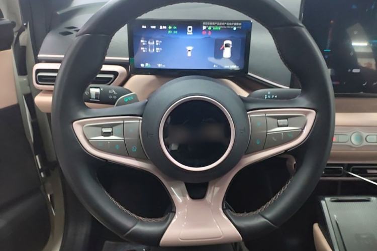 Used BYD Seagull 2025 Smart Drive Version 305 km Freedom Edition Steering Wheel