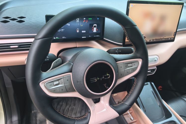 Used BYD Seagull 2025 Smart Drive Version 305 km Freedom Edition Steering Wheel