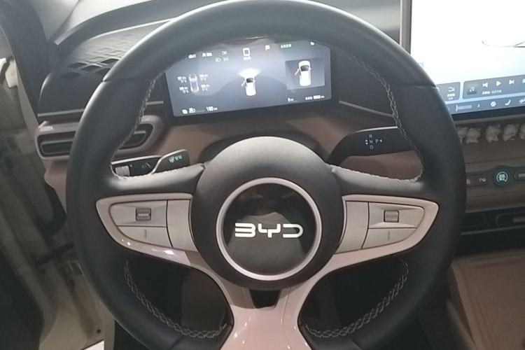 Used BYD Seagull 2025 Smart Drive Version 305 km Freedom Edition Steering Wheel