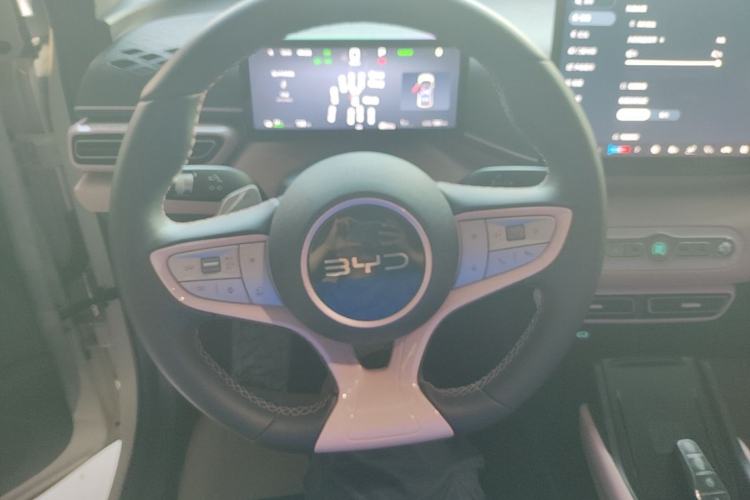 Used BYD Seagull 2025 Smart Drive Version 305 km Freedom Edition Steering Wheel