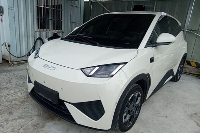 Used BYD Seagull 2025 Smart Drive Version 305 km Freedom Edition