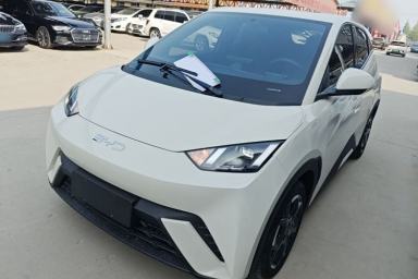 Used BYD Seagull 2025 305 km Free Version
